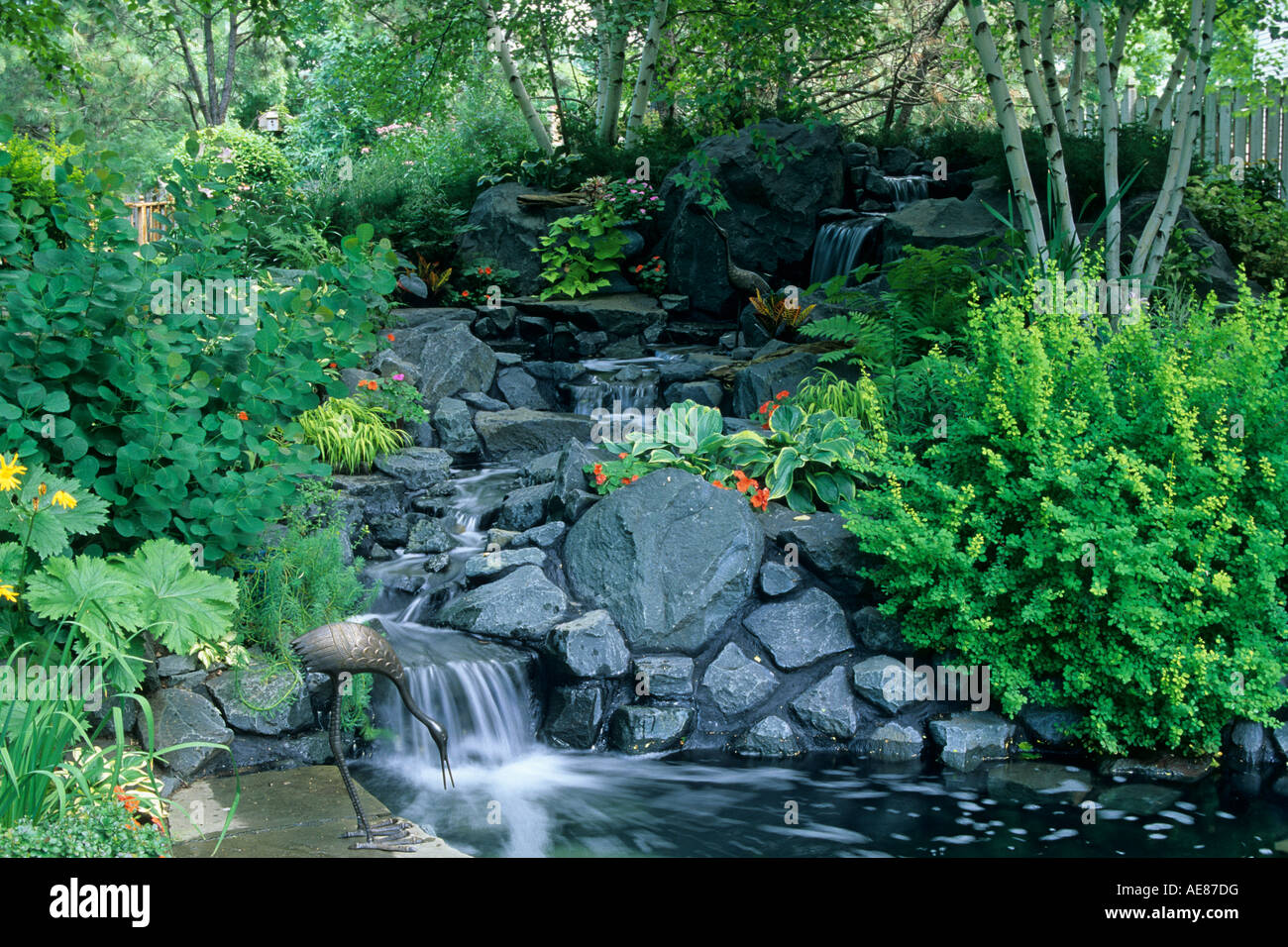 SLOPING MINNESOTA BACKYARD GARDEN INCLUDES WATERFALL, POND, SMOKEBUSH, JAPANESE GRASSES AND BIRCH TREES.  SUMMER. U.S.A. Stock Photo