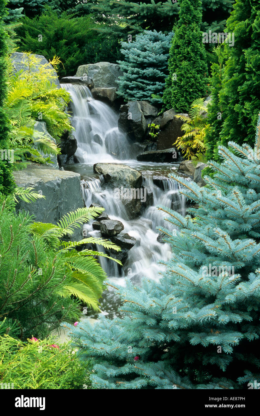 WATERFALL IN MINNESOTA GARDEN IN AUGUST SURROUNDED BY FERNS AND TREES. Stock Photo