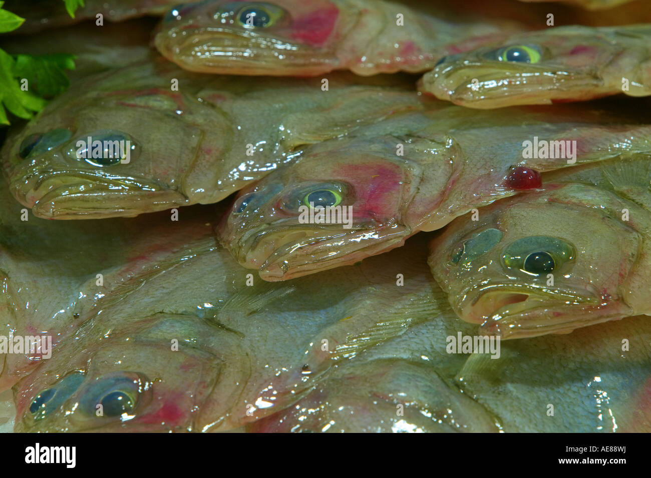 MEDITERRANEAN SEAFOOD Stock Photo