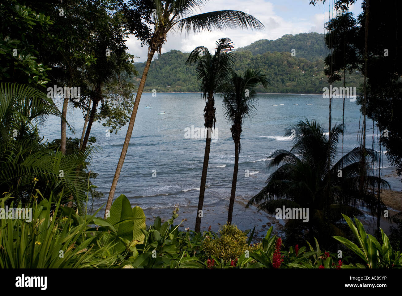 Wave paradise hi-res stock photography and images - Alamy