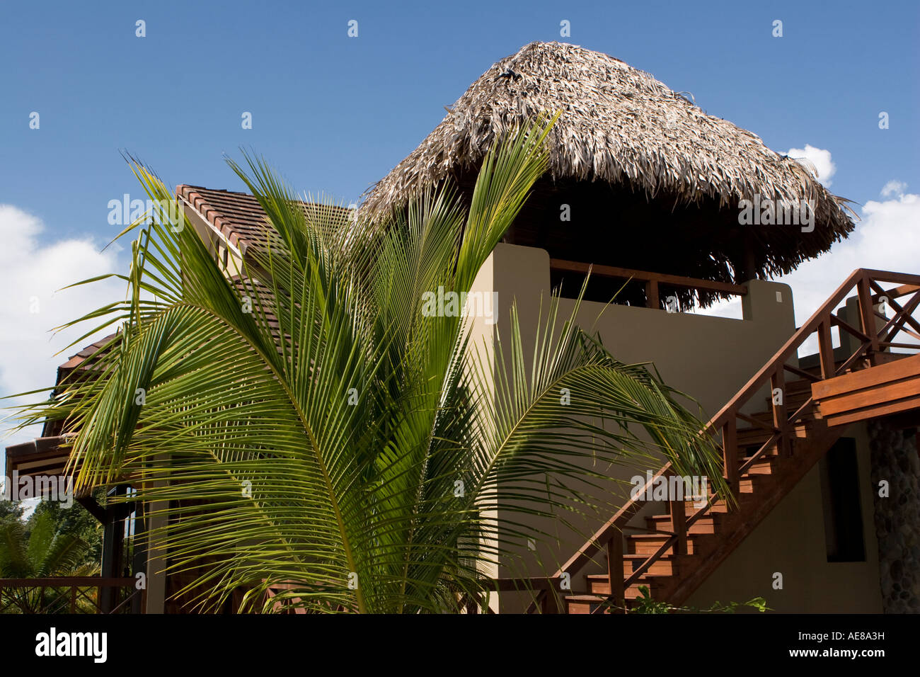 condo house tropical Stock Photo - Alamy