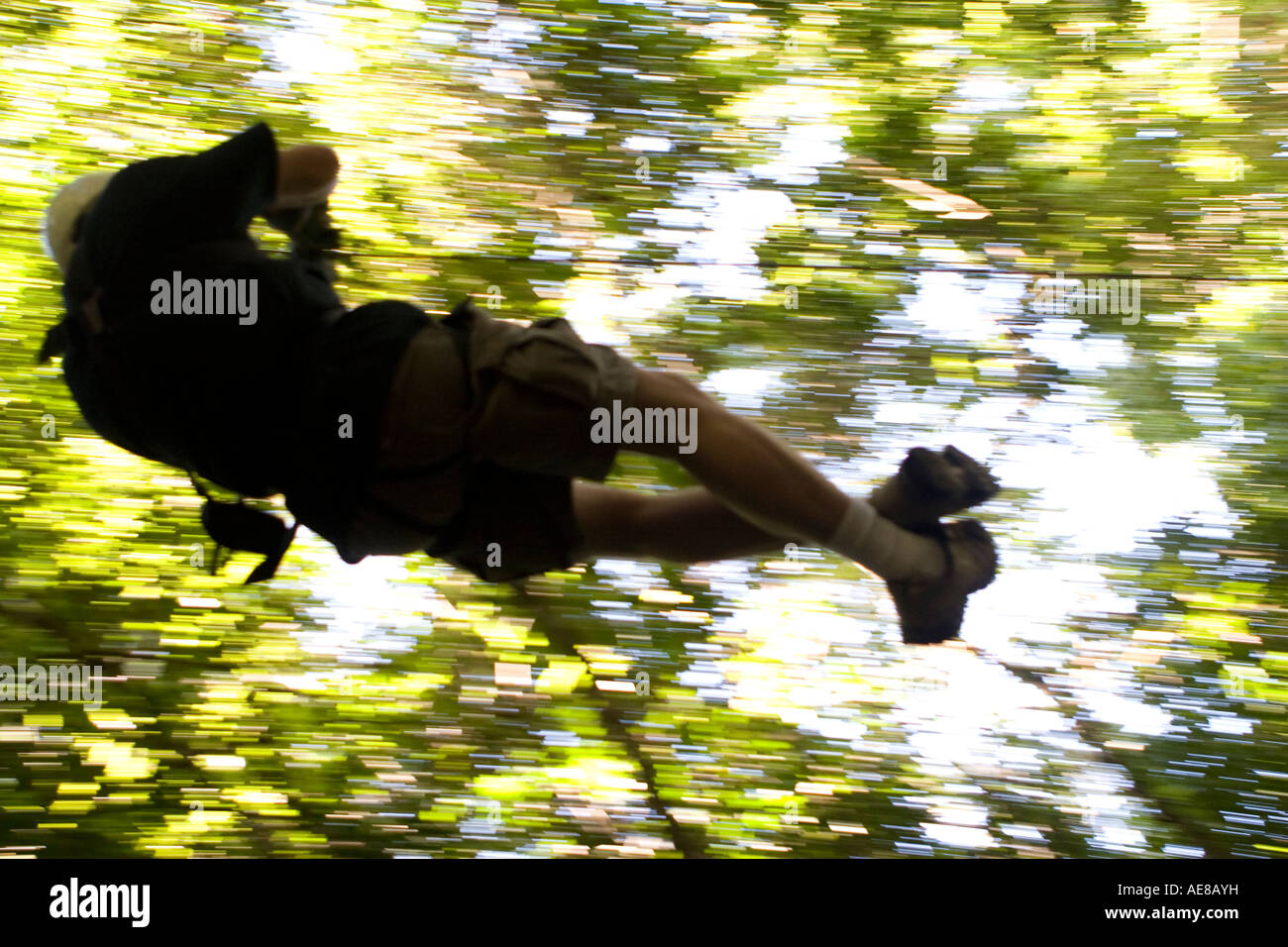 canopy forest zip line tour Stock Photo - Alamy