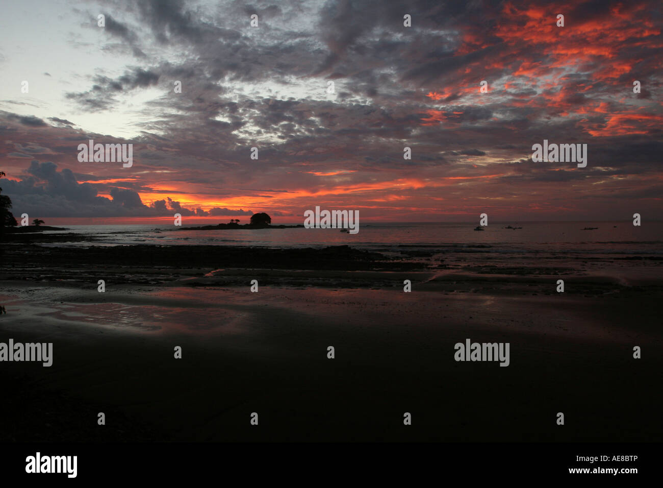 beach golden sunset Stock Photo - Alamy