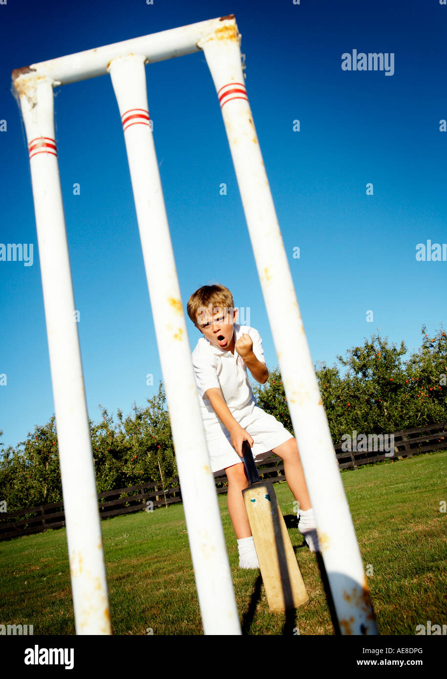 young boy in sports uniform playing cricket Stock Photo