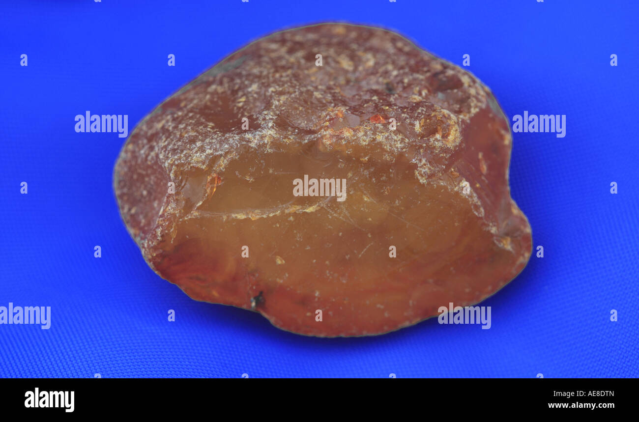 Piece of Amber found on a beach in NorthEast Norfolk, UK Stock Photo