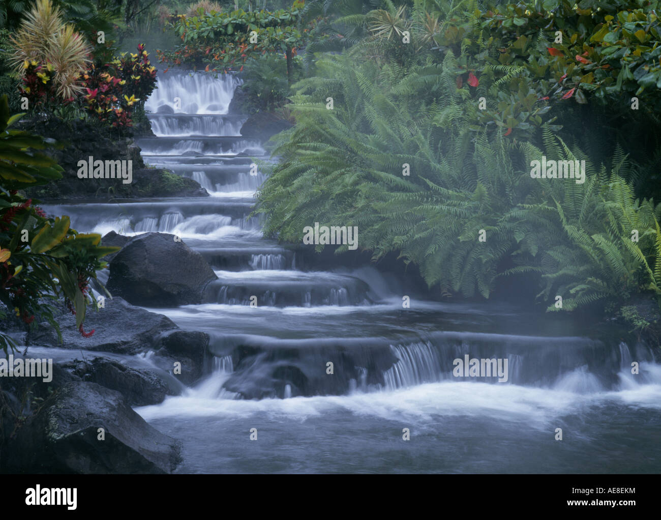 A beautiful rain forest waterfall on the slopes of Arenal Volcano at