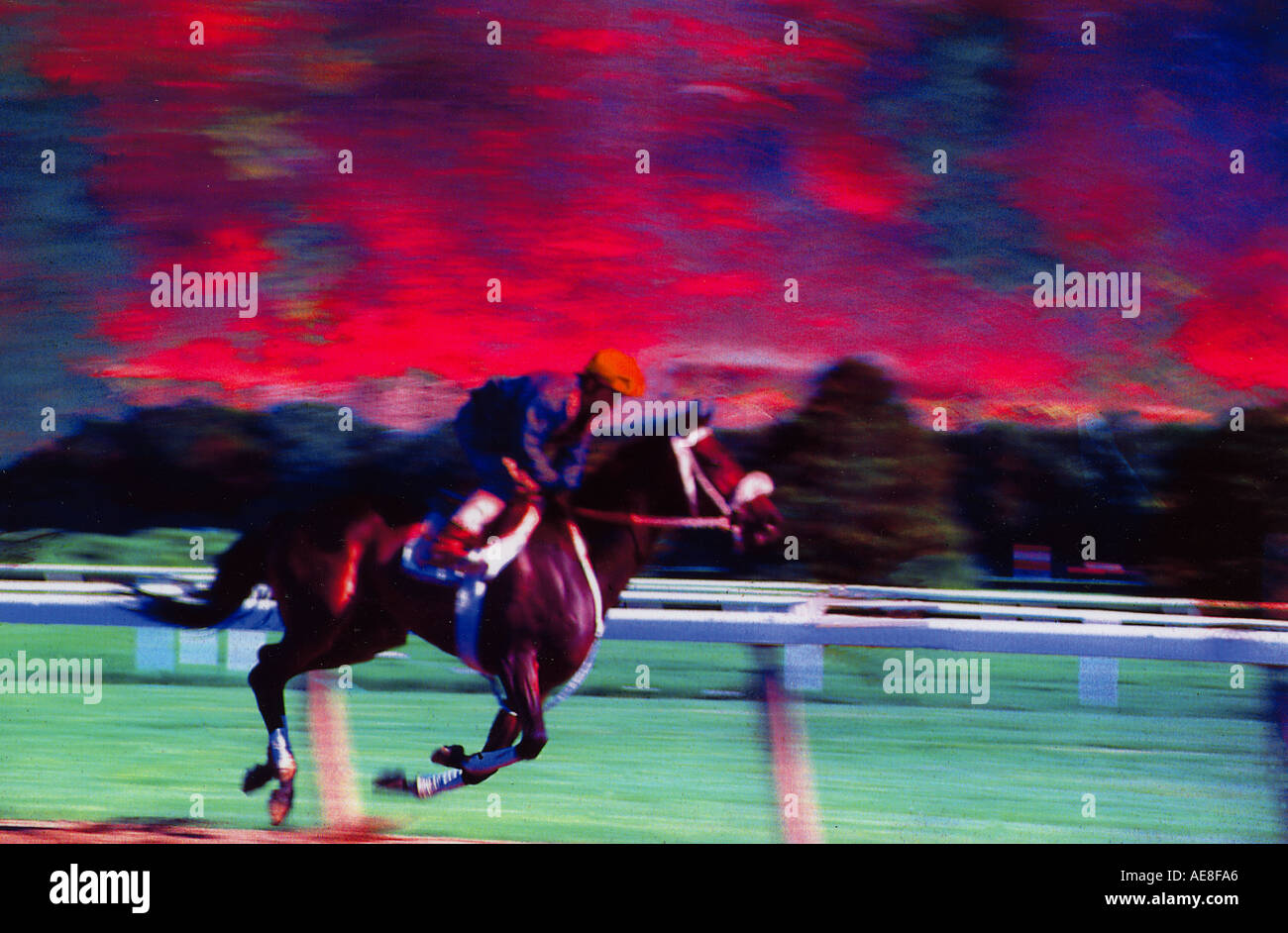 full length view of one horse galloping with jockey at the race track