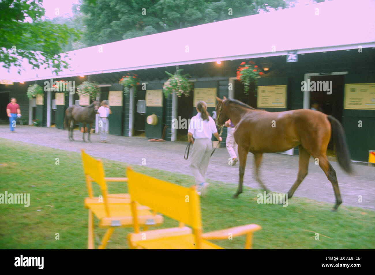 Taking a horse from the stables Stock Photo - Alamy