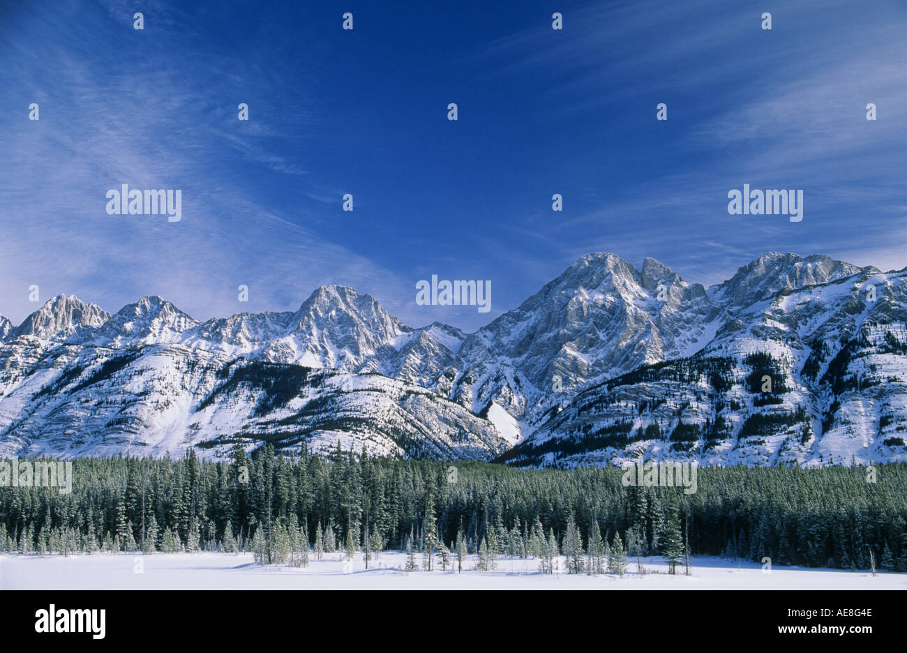 Opal Range Kananaskis Country Alberta Canada Stock Photo Alamy