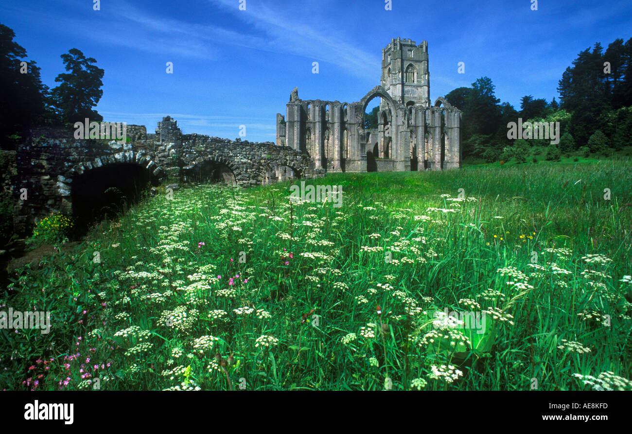 Abbey antiquity arch architecture Cictercian Fountains flowersforeground flowers lush tranquil