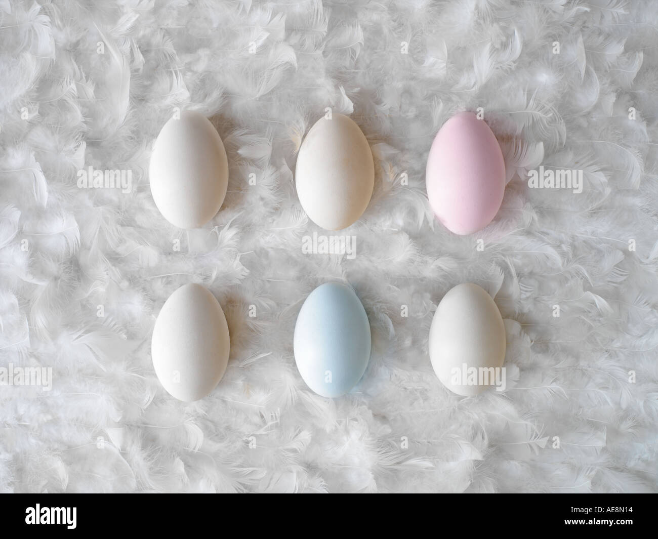1/2 dozen eggs mixed white, pink and blue Stock Photo