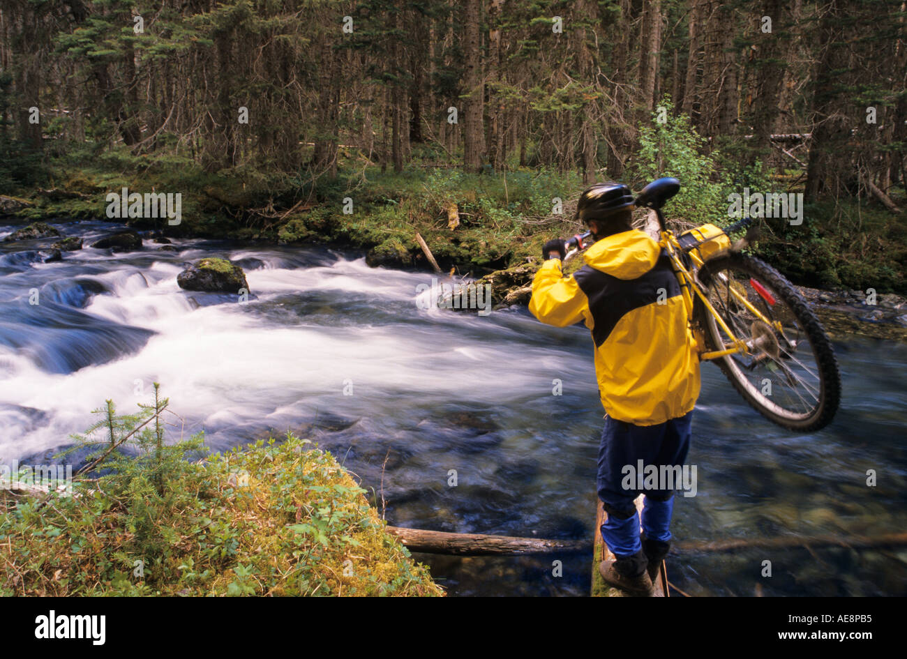 Mountain biker crossing Driftwood Creek on log Babine Mountains provincial Park Smithers BC Stock Photo