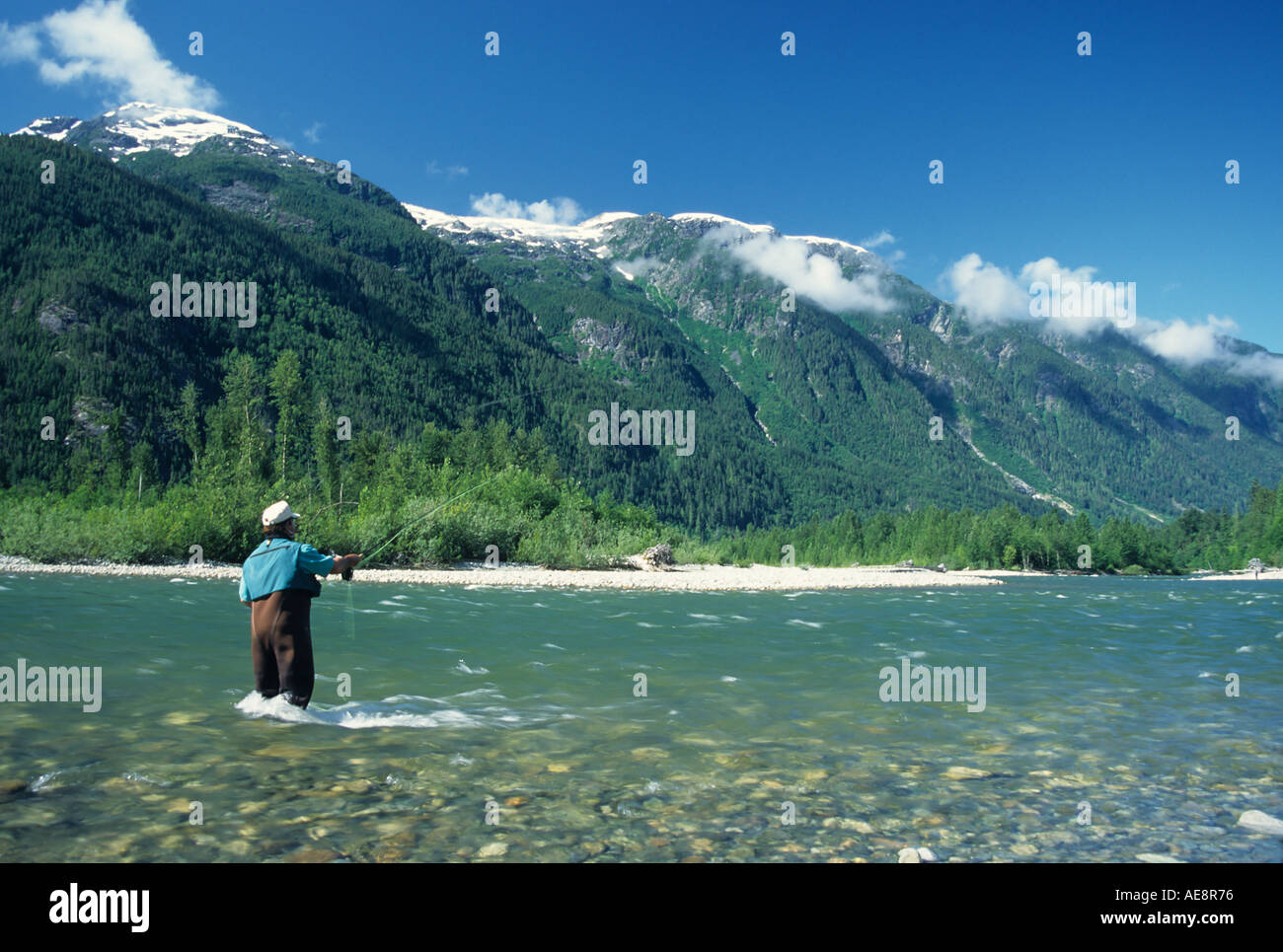 Flyfisherman casting for summer run steelhead Dean river British Columbia Stock Photo