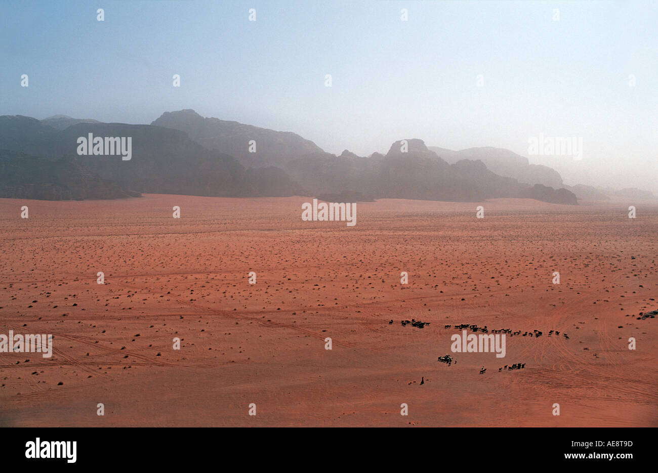 Red sand floor of the desert with rocky outcrops called Jebels in the distance Herding goats Wadi Rum Jordan Stock Photo