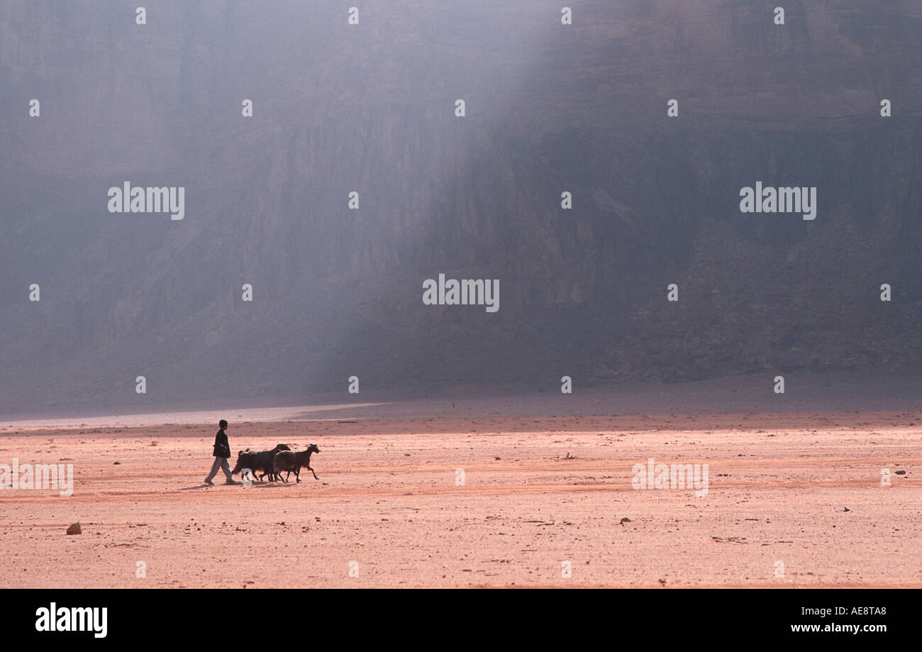 Red sand floor of the desert with rocky Jebels in the distance A boy herding goats in the foreground Wadi Rum Jordan Stock Photo