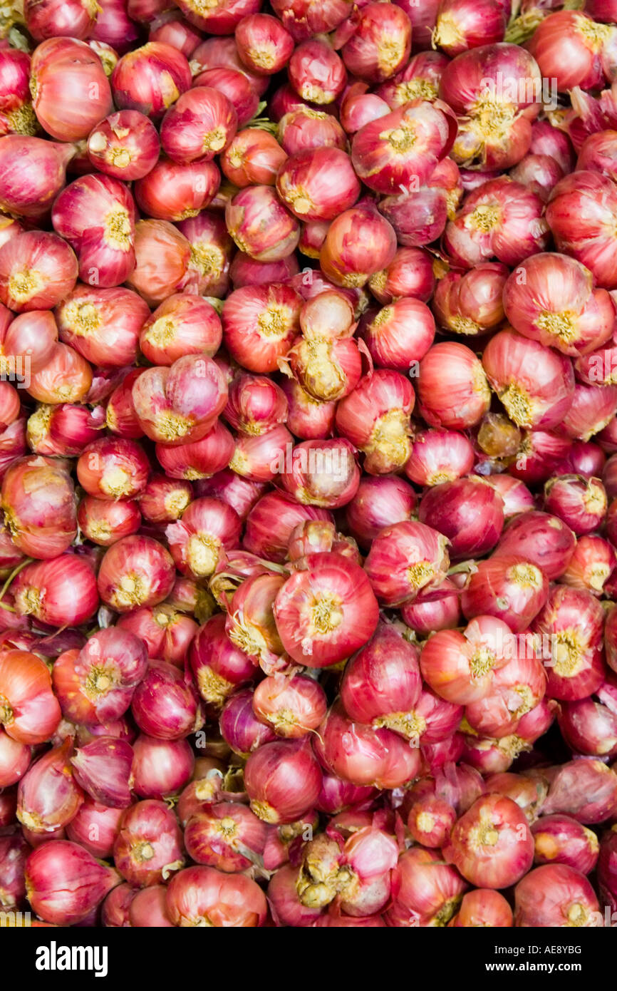 Fresh garlic bulbs Stock Photo Alamy