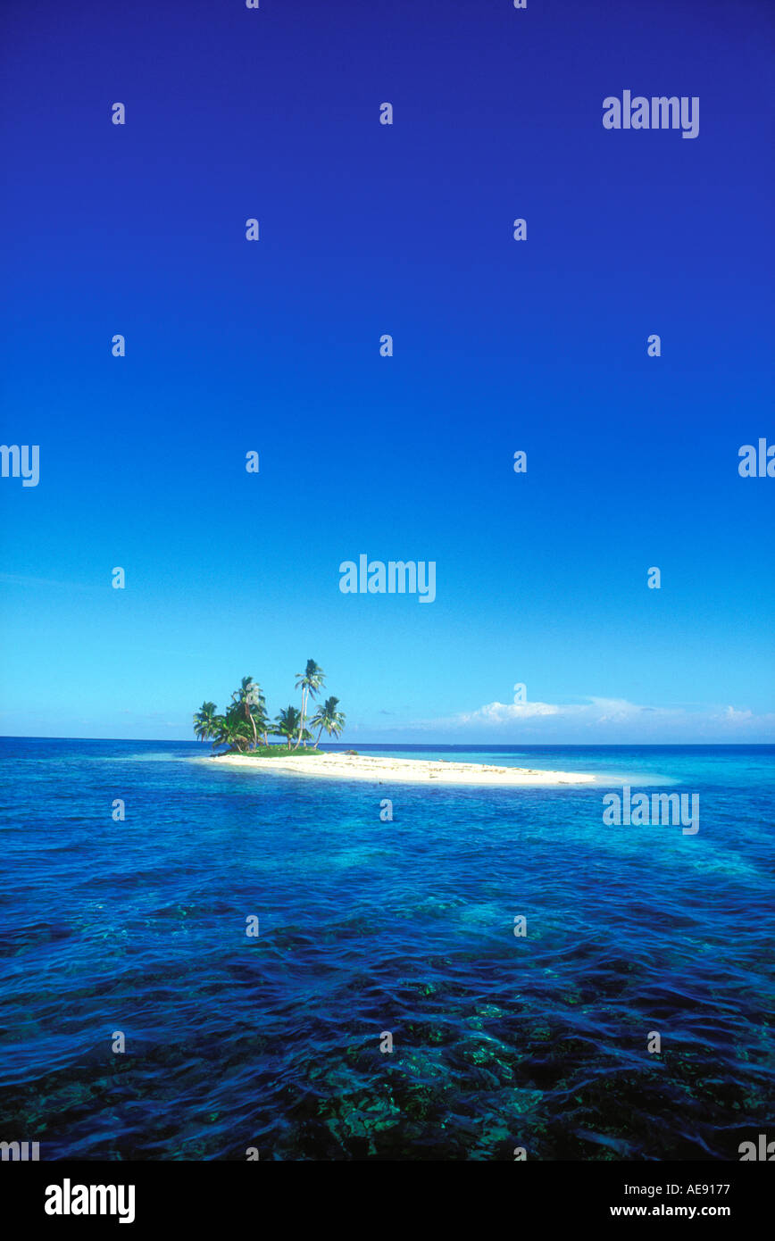 One small palm covered tropical island on horizon in Belize Caribbean Stock Photo