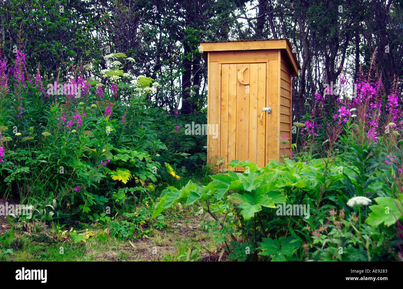 An outdoor toilet with fireweed flowers in Ninilchik Alaska Stock Photo
