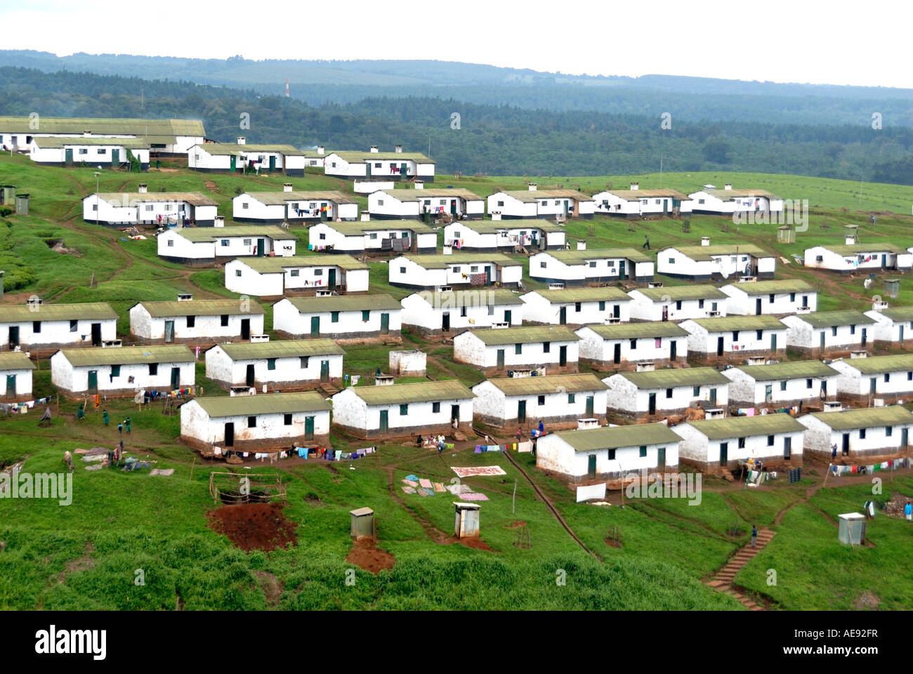 Lines of modern housing for agricultural workers on a tea estate near Kericho Kenya East Africa Stock Photo