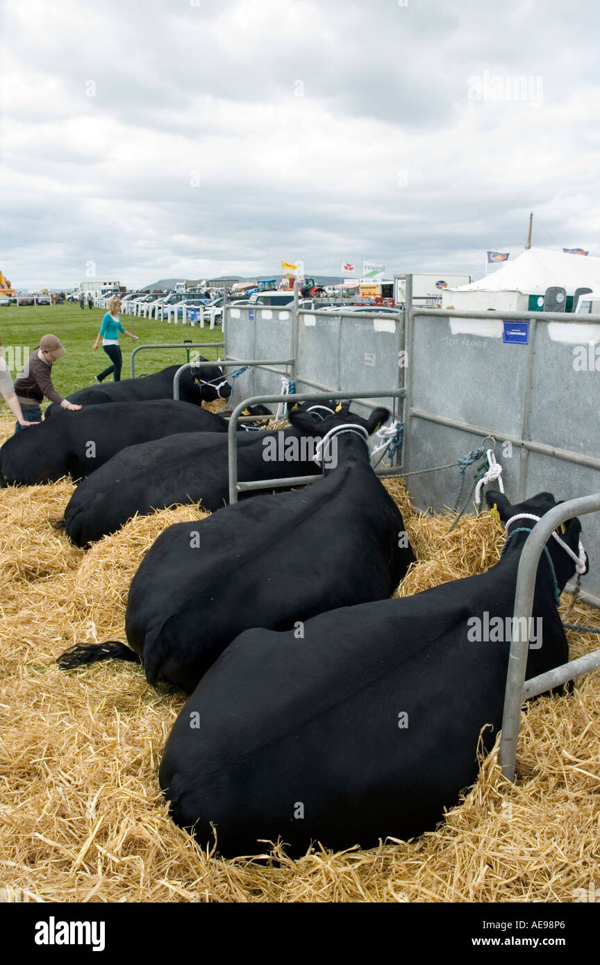 Central and West Fife Annual Agricultural Show June 2006 Stock Photo