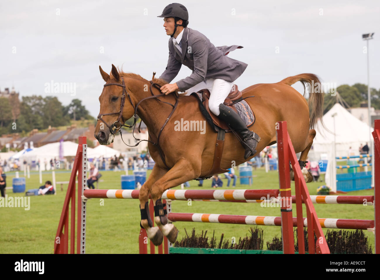 Equestrian sport horse riders show jumping competition horse jumping