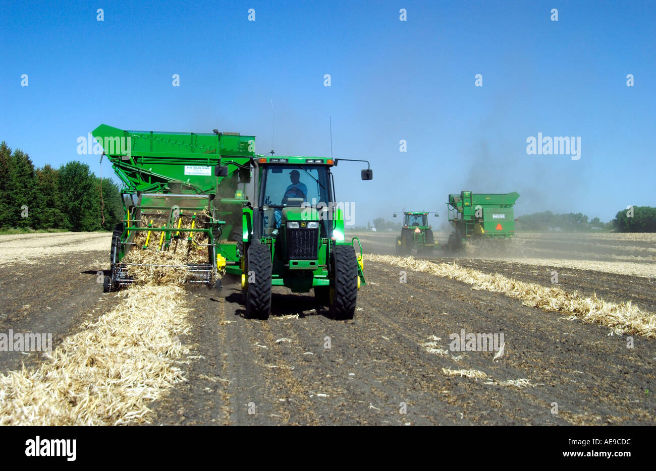 Bean king hires stock photography and images Alamy