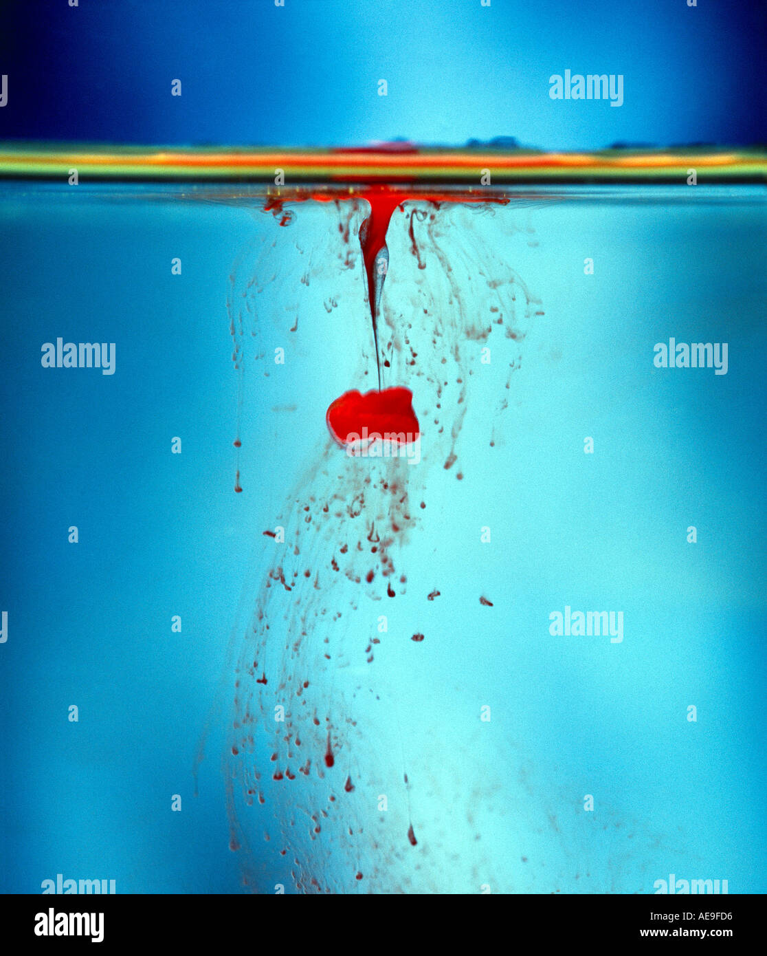 Drop of blood dissolves in water Stock Photo Alamy