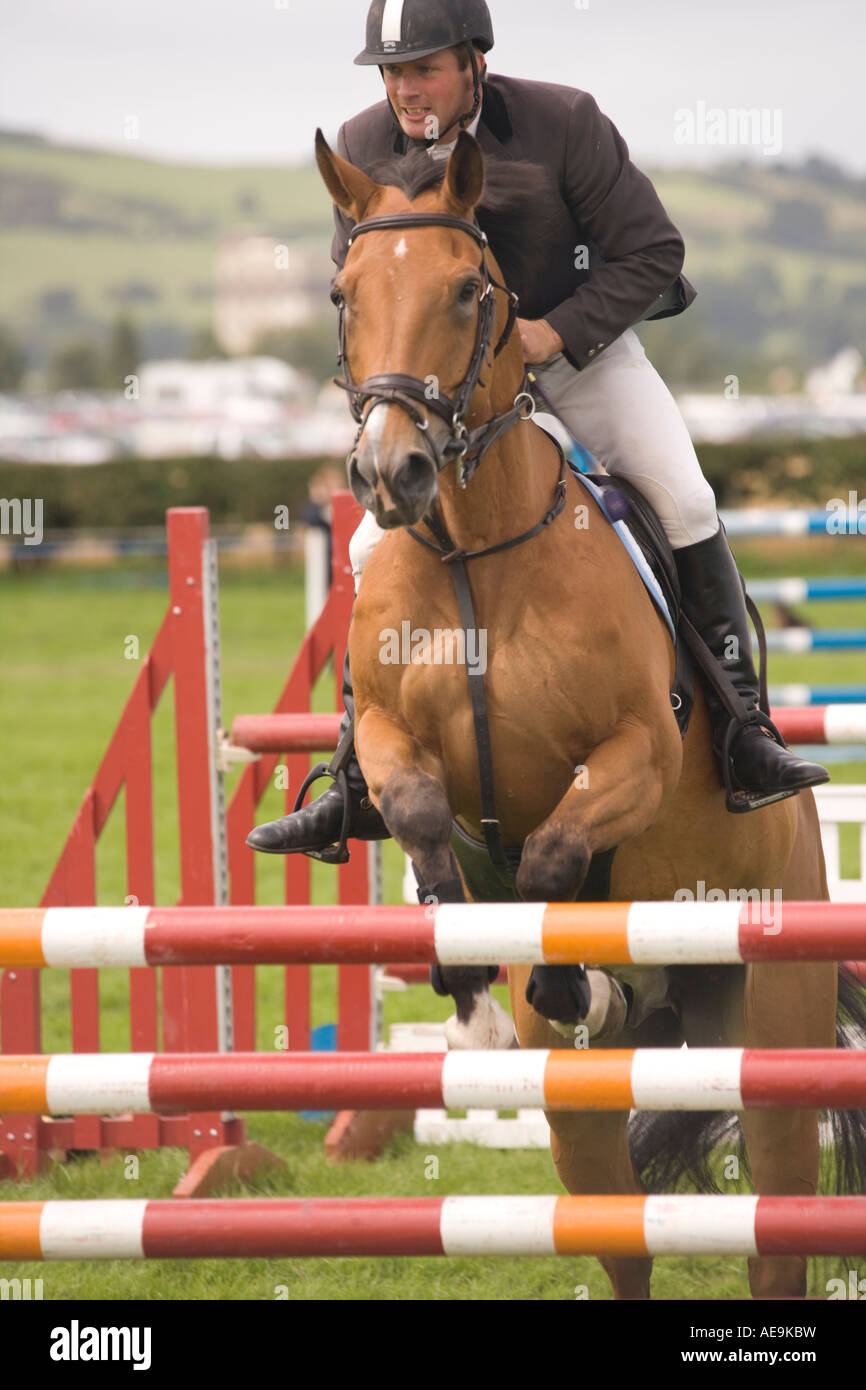 Equestrian sport horse riders show jumping competition horse jumping
