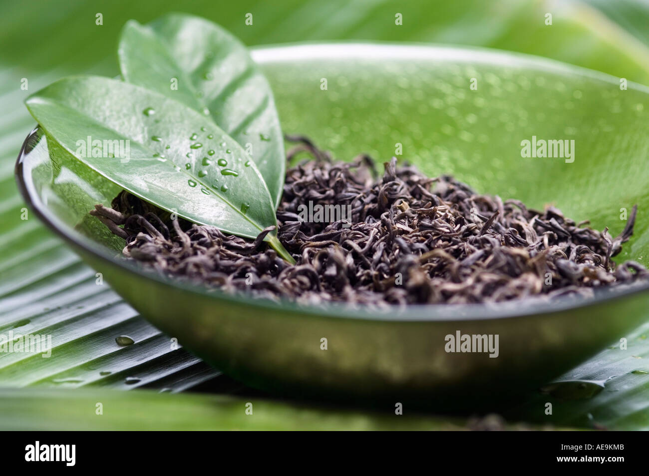 Dried green tea leaves, closeup Stock Photo Alamy
