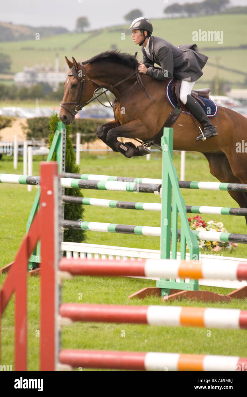 Equestrian sport horse riders show jumping competition horse jumping