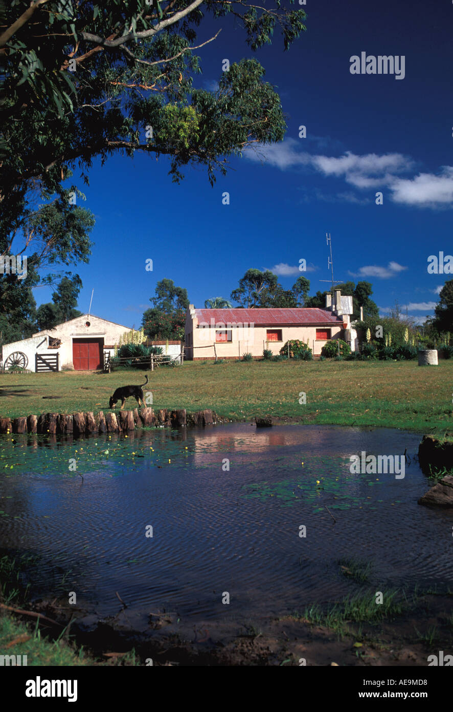 Uruguay South America Hacienda Ranch in the Country with pond Stock Photo