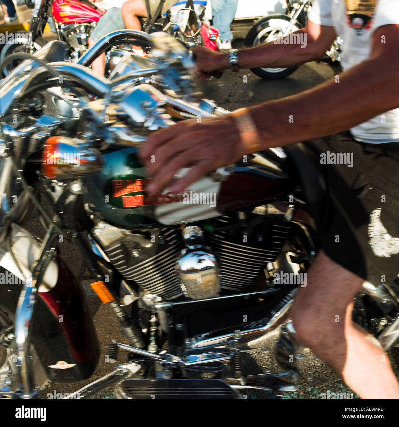 Rider hands hi-res stock photography and images - Alamy