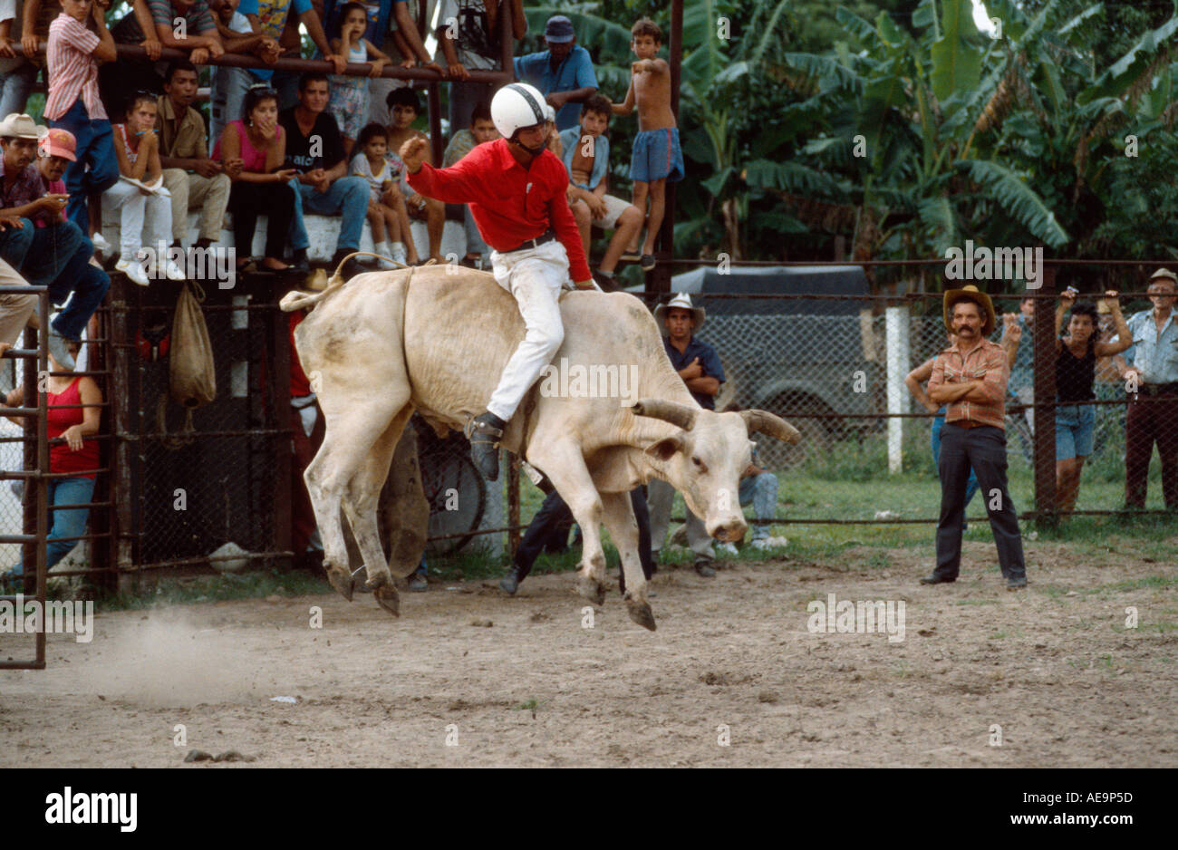 Bull riding at a country rodeo, Rodas, near Cienfuegos, Cuba Stock
