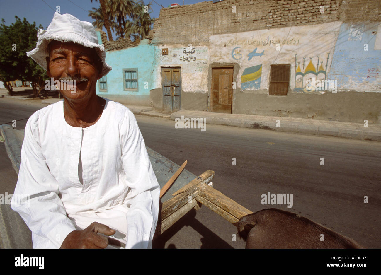 Egyptian old man on donkey hi-res stock photography and images - Alamy