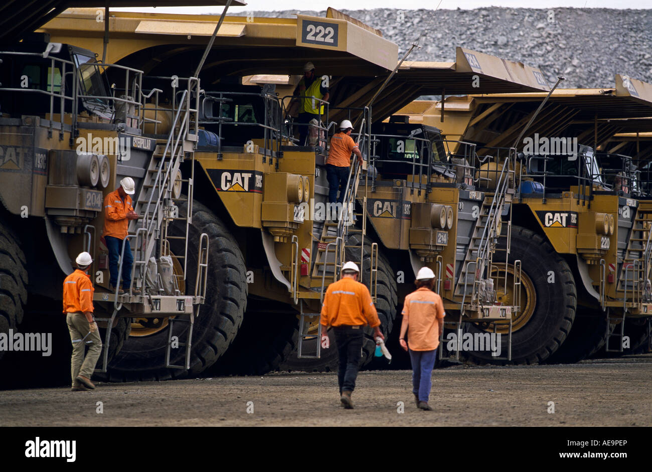 Ore truck driver, Australia Stock Photo Alamy