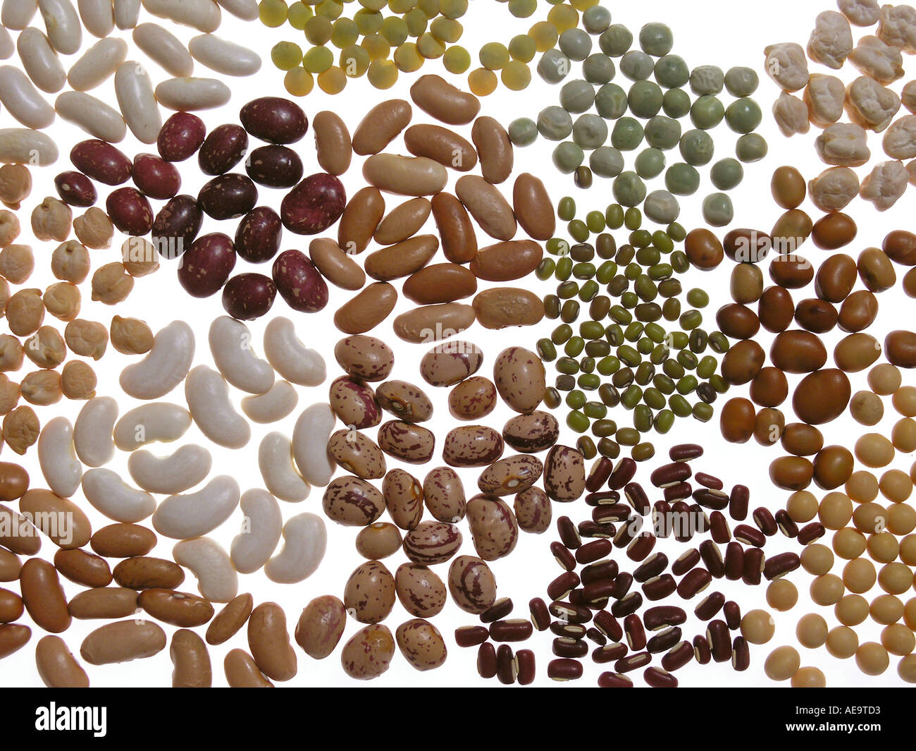 Assorted legumes Stock Photo
