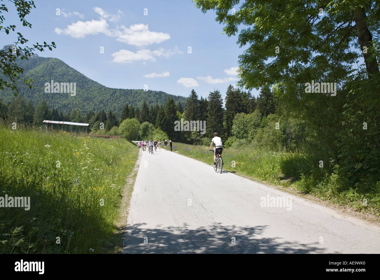 Kranjska Gora Slovenia. Cyclists on cycle track through alpine flower meadows in valley in Julian Alps in summer Stock Photo