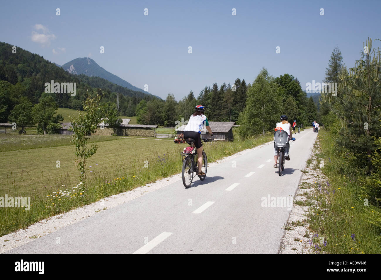 Kranjska Gora Slovenia. Cyclists cycling on marked cycle route through Zgornjesavska valley in Julian Alps in summer Stock Photo