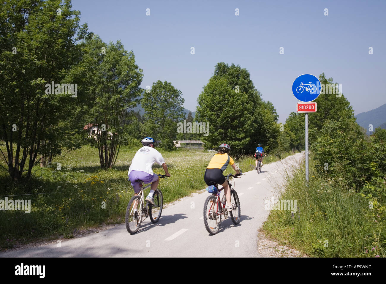 Kranjska Gora Slovenia. Cyclists cycling on marked cycle route through Zgornjesavska valley in Julian Alps in summer Stock Photo