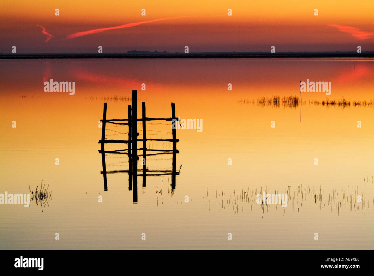 Doñana marshland after sunset Spain Stock Photo