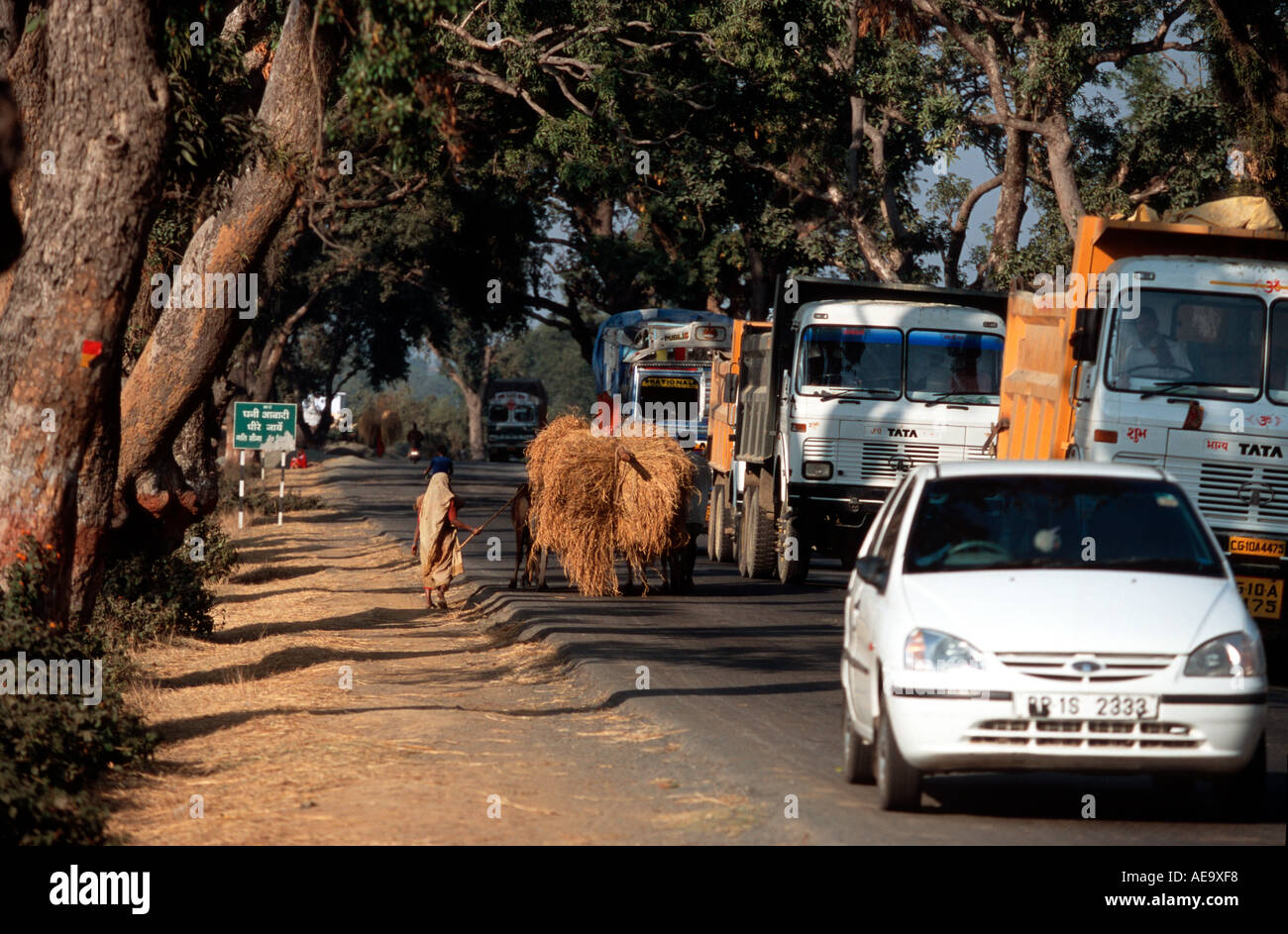 Road congestion near Ranchi Bihar India Stock Photo - Alamy