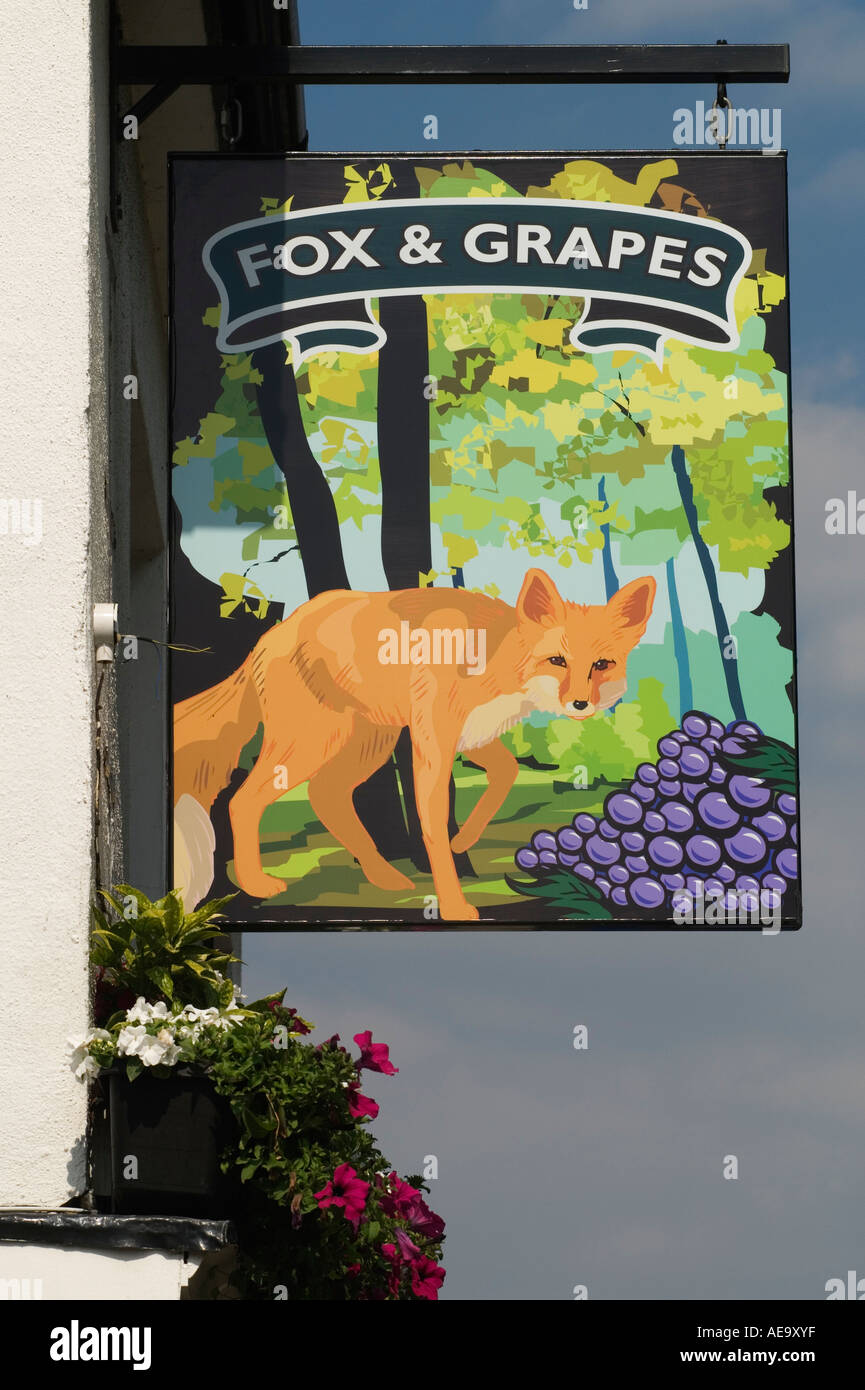 Fox and Grapes pub sign Camp View (street) Wimbledon Common London SW19 England UK 2006 2000S HOMER SYKES Stock Photo