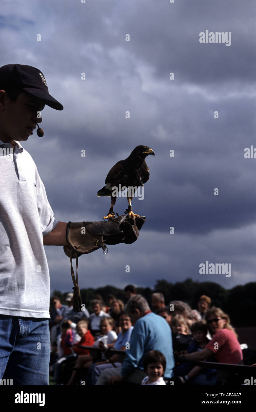 Scottish Deer Centre Stock Photo Alamy
