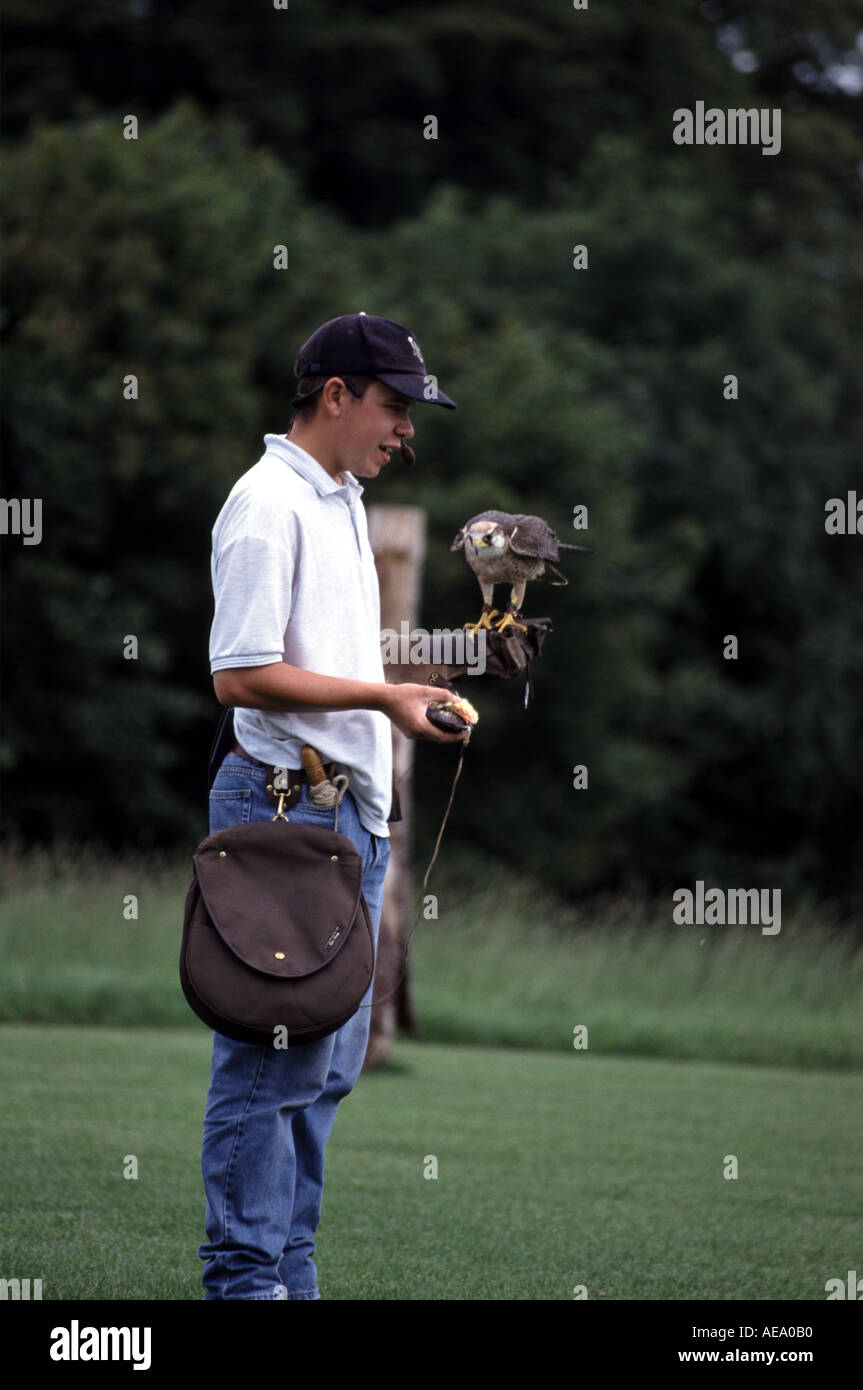 Scottish Deer Centre Stock Photo Alamy