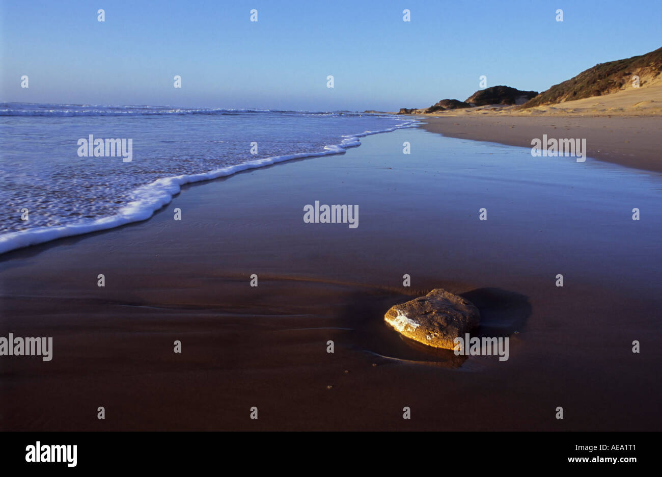 surf rushing up to a wet rock on a beach Stock Photo Alamy