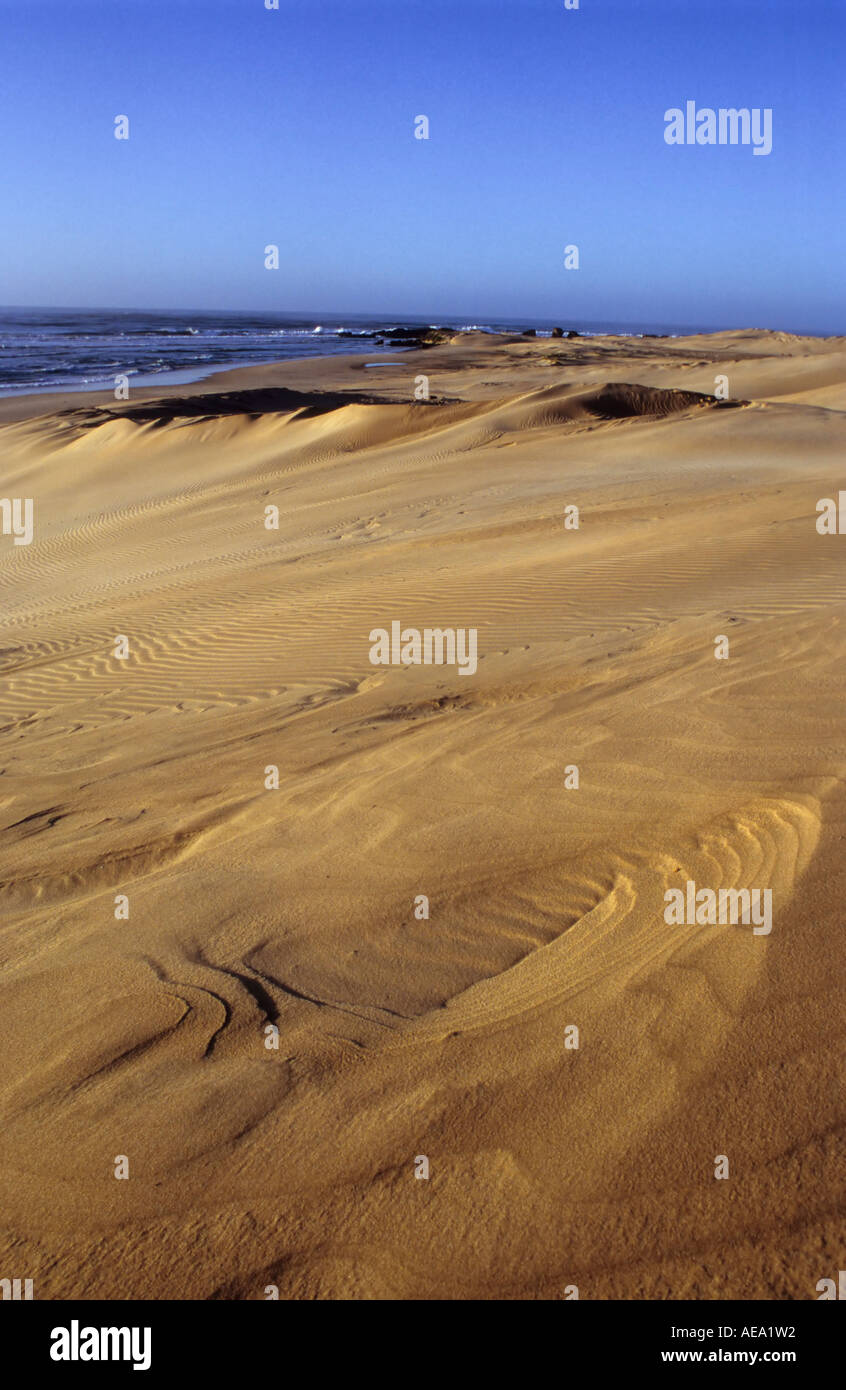 Beach dunes, Kenton on Sea, South Africa Stock Photo Alamy