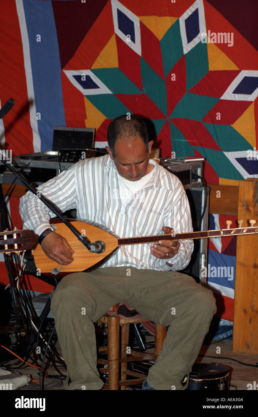 Indian Lute High Resolution Stock Photography and Images Alamy