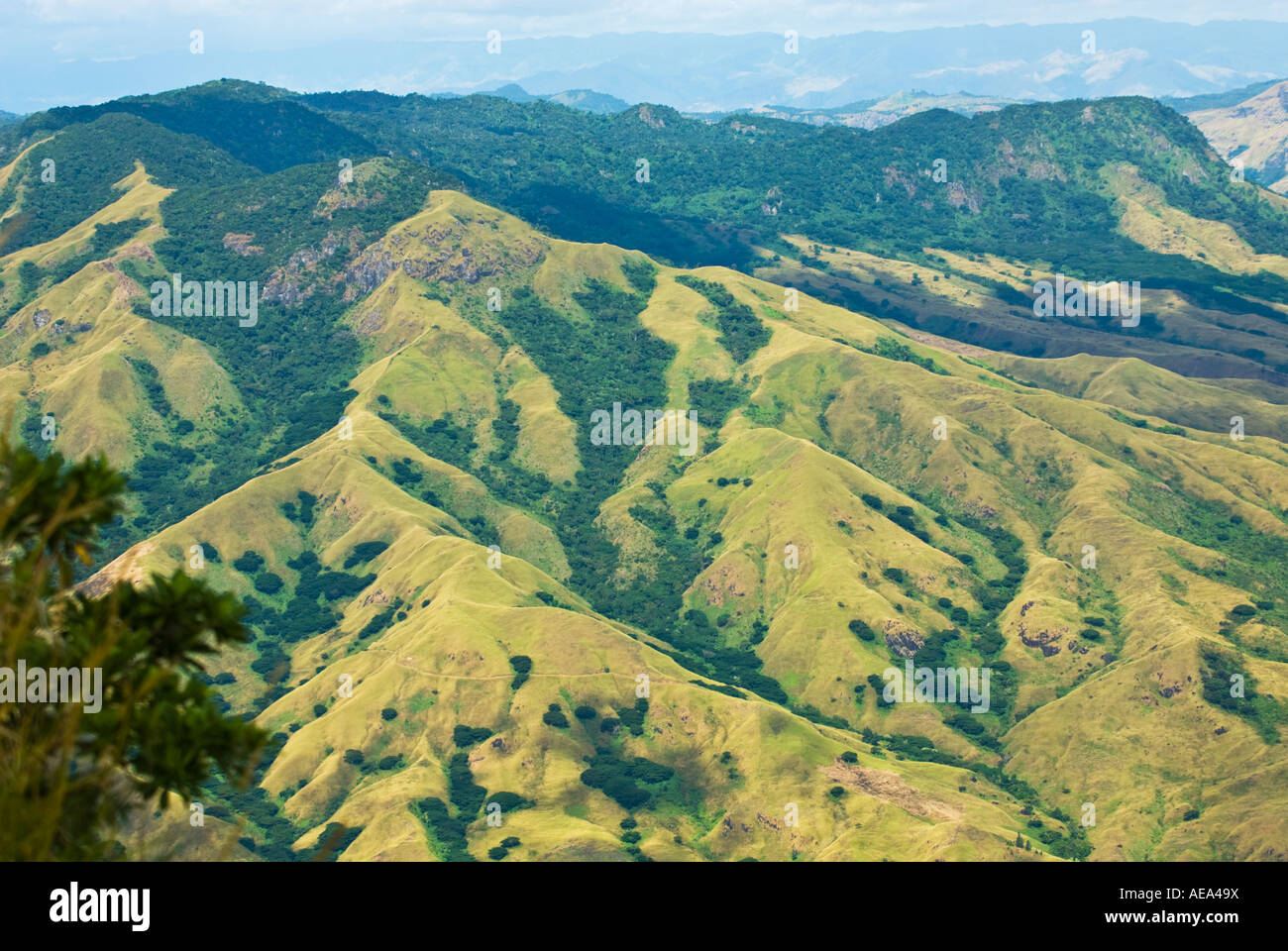 FIJI ISLANDS South southsea sea  Pacific wild wilderness RAINFOREST  forest ABACA the hills mountains birds eyeview inland Stock Photo