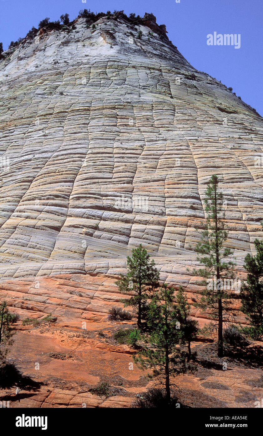 Unusual geological formation at Checkerboard Mesa in Zion National Park Utah USA Stock Photo