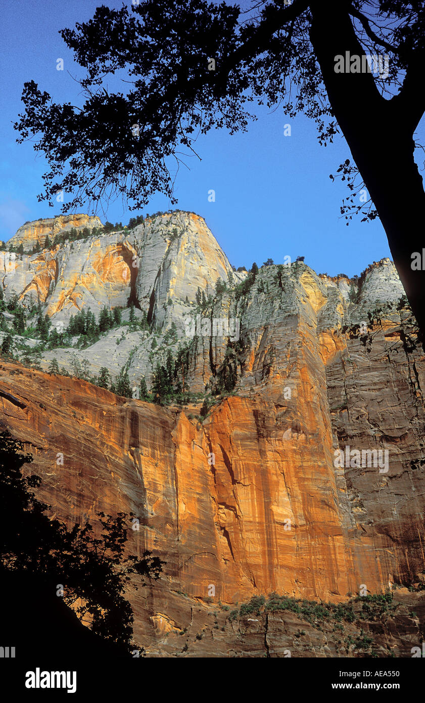 General view of Zion National Park Utah USA Stock Photo